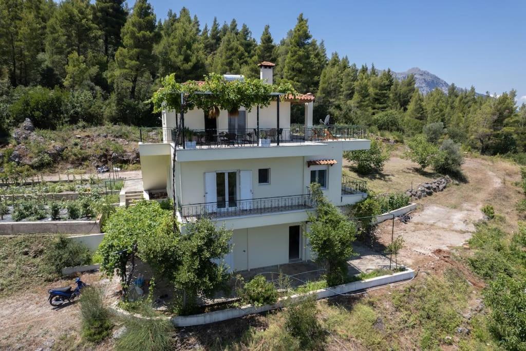 Dream House Capturing The Magic Of Nature Vlachia Exterior photo